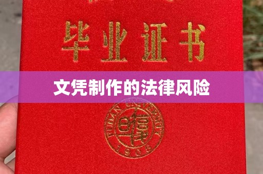 东丽文凭制作的法律风险